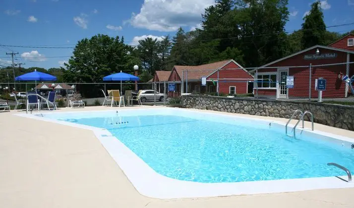 Blue Spruce Motel & Townhouses