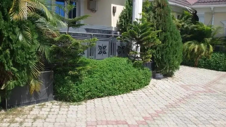 Blue View Hotel and Apartments