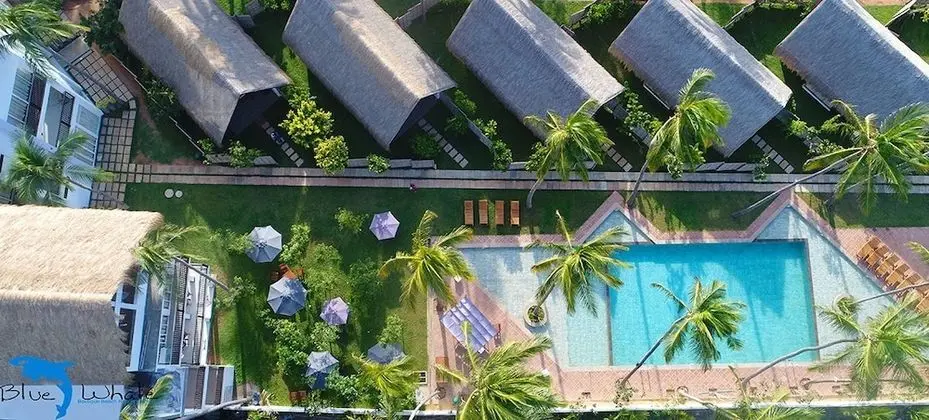 Blue Whale beach boutique Resort - Dış Mekan