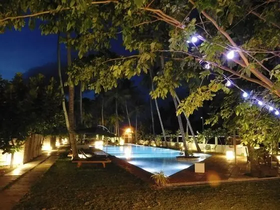 Blue Whale beach boutique Resort - Havuz