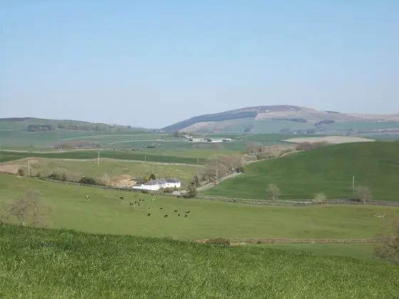 Bluebell Bank