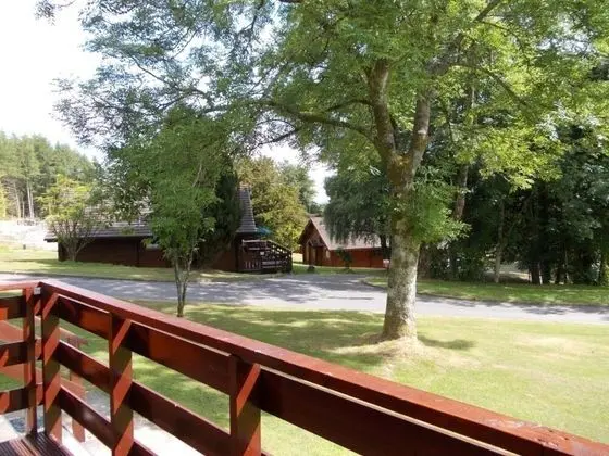 Bluebell Lodge 4 with Hot Tub - Dış Mekanlar