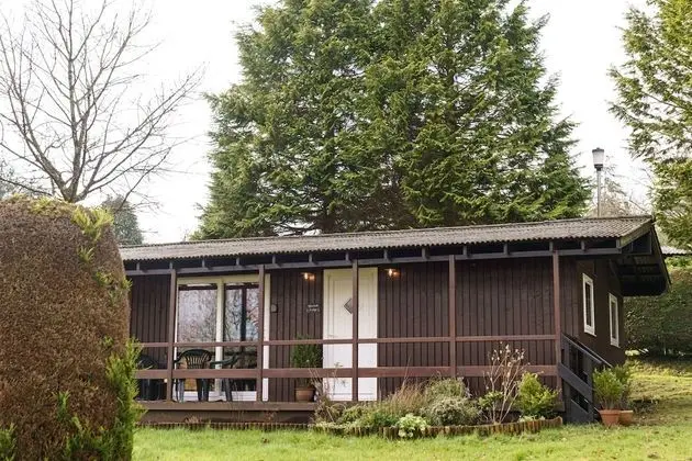 Bluebell Lodge set in a Beautiful 24 Acre Woodland Holiday Park