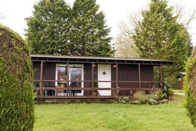 Bluebell Lodge set in a Beautiful 24 Acre Woodland Holiday Park - Öne Çıkan Resim