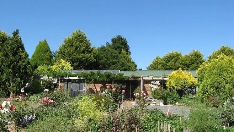 Blueberry B & B
