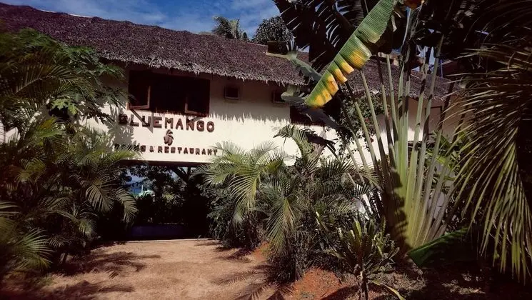 Bluemango Rooms & Villas