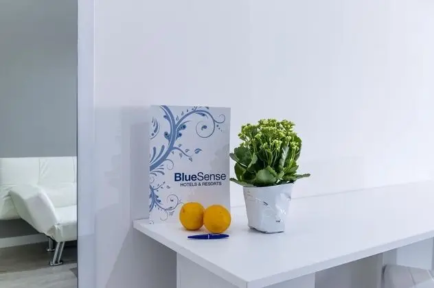 Bluesense Madrid Serrano - Lobi