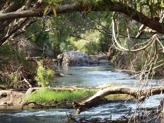 Blyde River Cabin Guesthouse - Dış Mekan