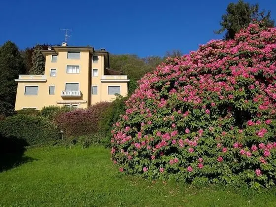 BMP Apartment Camelia