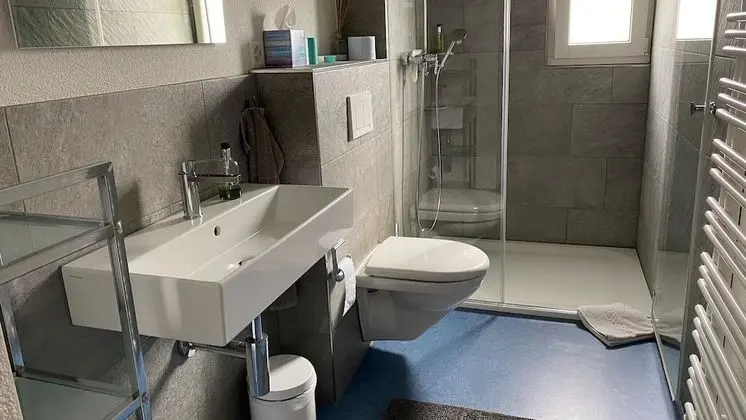 BnB Hopfengrün Langenthal - Banyo Tipleri