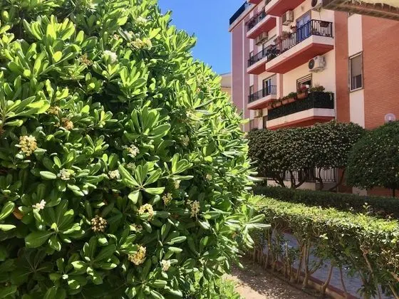 Bnb Sea Sardinia