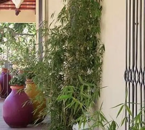 Bo Hotel de Encanto - Dış Mekan