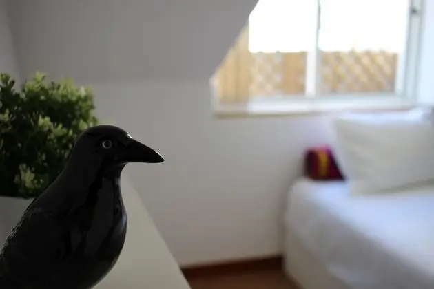 Boa Nova Guesthouse - İç Mekan
