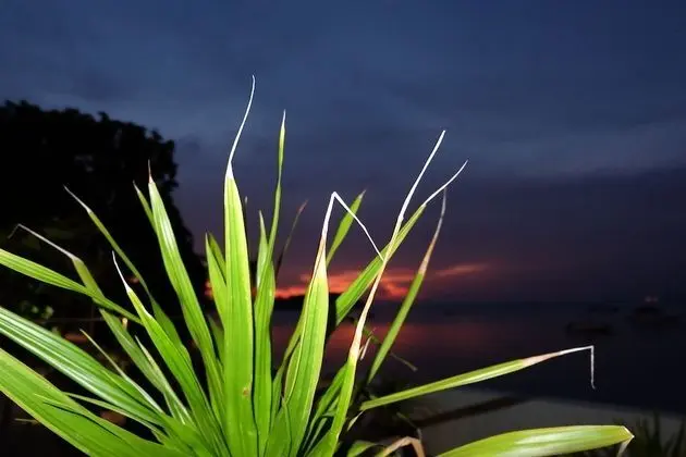 The Boardroom Beach Bungalows - Plaj