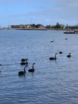 Boat Harbour Jetty B&B - Plaj