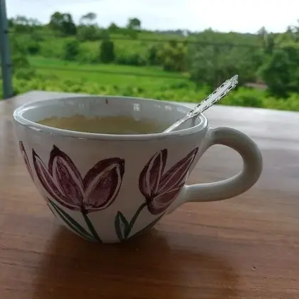 Bobos Cinnamon Estate Sri Lanka - Dış Mekan