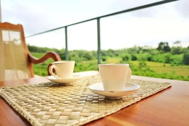 Bobos Cinnamon Estate Sri Lanka - Yerinde Yemek