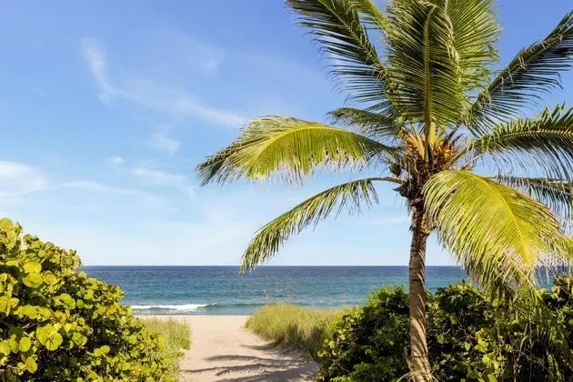 Boca Raton Marriott at Boca Center - Plaj