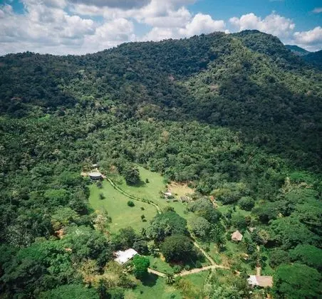 Bocawina Rainforest Resort & Adventures