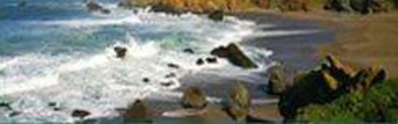 Bodega Bay Lodge