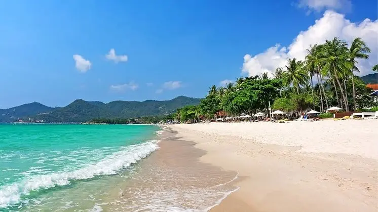 Bodega Koh Samui - Adults Only - Plaj