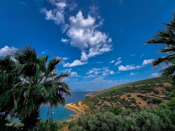 Bodrum Holiday Resort & SpaFotoğrafı