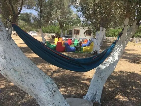 Bodrum Masalı Camping