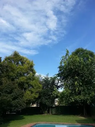 Boer And Brit Self Catering Guest House - Havuz