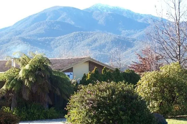 Bogong Moth Motel
