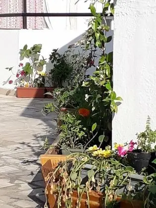 Bolero Apart Hotel - Dış Mekan