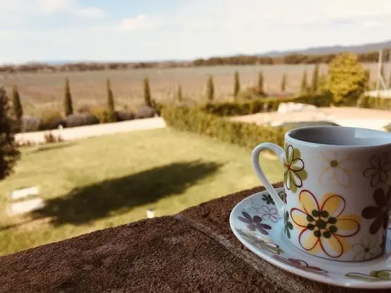 Bolgheri Resort - Dış Mekan