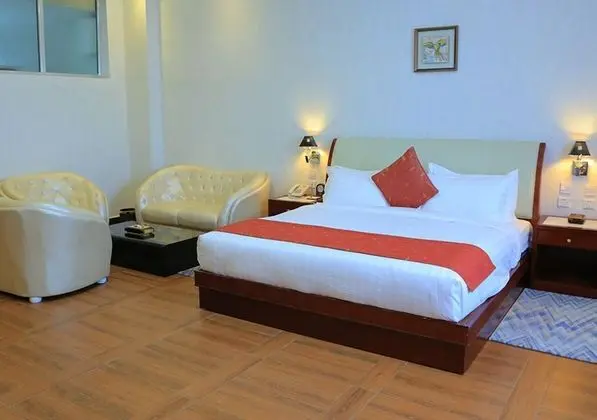 BON Plaza Hotel Addis Ababa - Oda