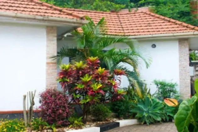 Bona Safari Villa Seguku - Dış Mekan