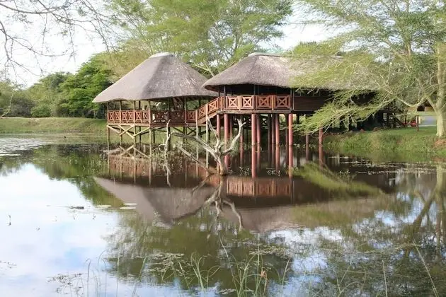 Bonamanzi Game Reserve