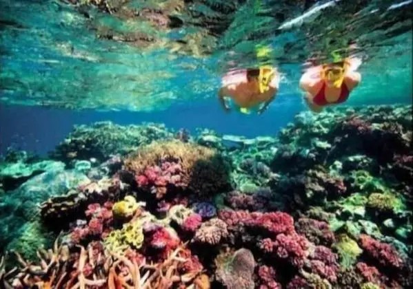 Bondi Backpackers Nha Trang - Hostel - Dış Mekan