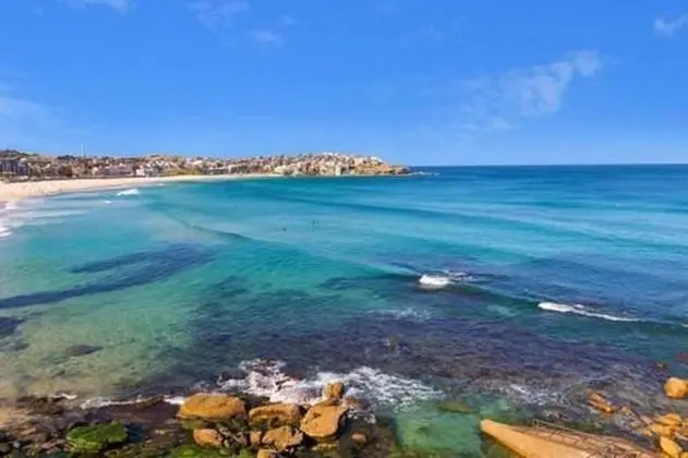 Bondi Beach Gorgeous Apartment H323
