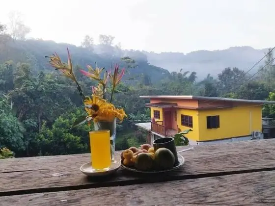 Bondoi Lampang
