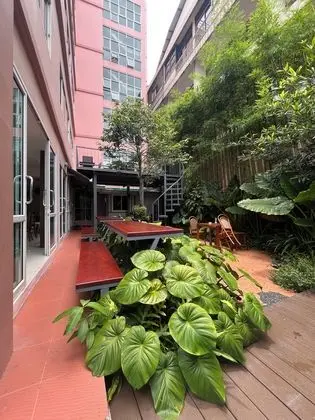 Bonita House - Öne Çıkan Resim