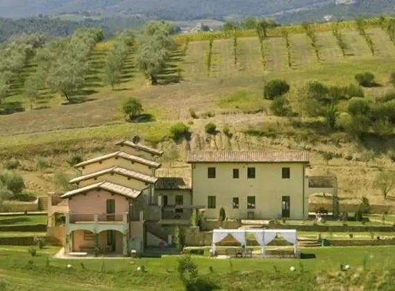 Borgo Le Capannelle - Dış Mekan
