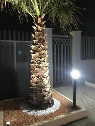 Borgo Palombaio - Dış Mekan