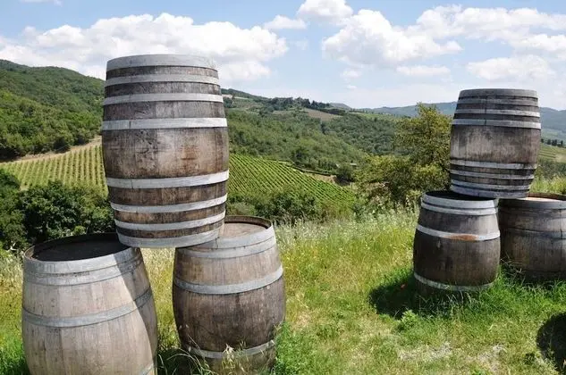Borgo Radda - Dış Mekan
