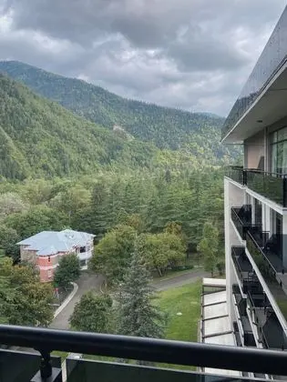 Borjomi Likani Health & Spa Centre - Genel