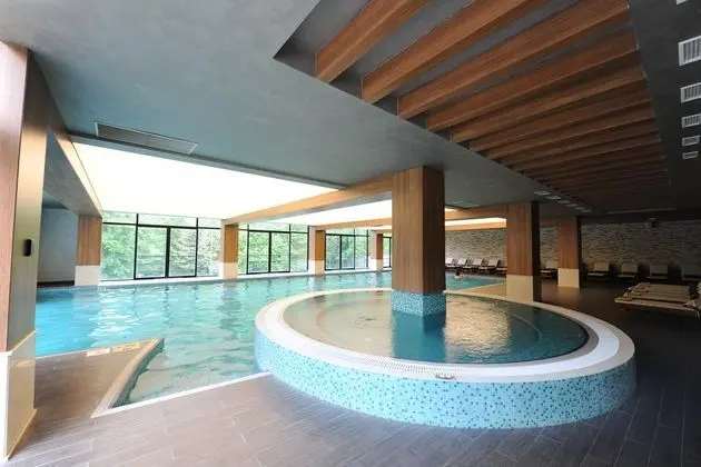 Borjomi Likani Health & Spa Centre - Havuz