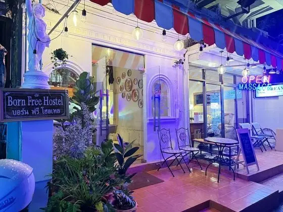 Born Free Hostel - Öne Çıkan Resim