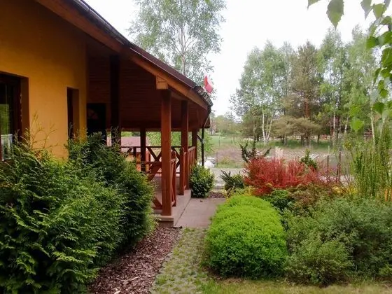 Borowikowa Sasino in Sasino