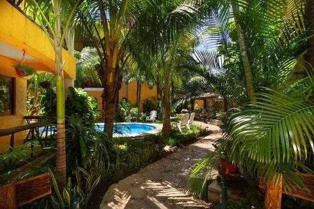 Hotel Bosque Caribe , 5th Av Zone