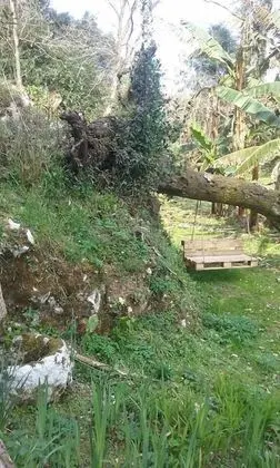 Bosque de Cuevas - Dış Mekan