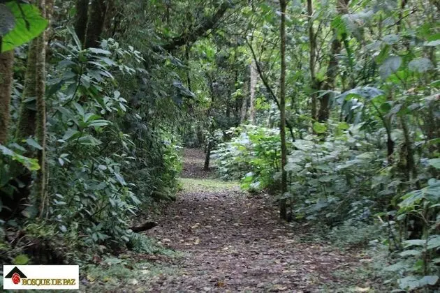 Bosque de Paz - Dış Mekan