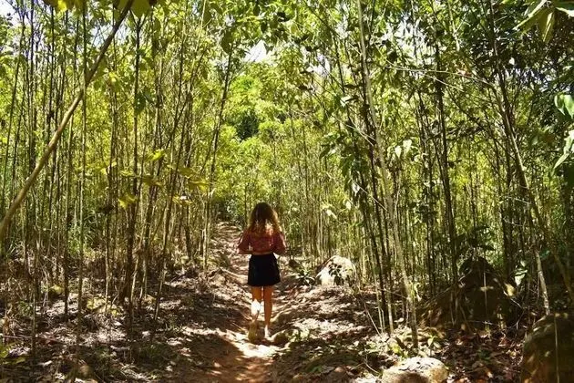 Bosque Guardian Lodge - All Inclusive - Dış Mekan