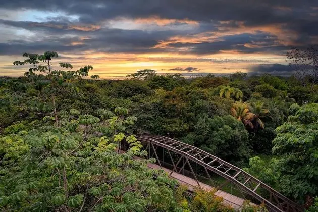 Botanika Osa Peninsula, Curio Collection by Hilton - Dış Mekan